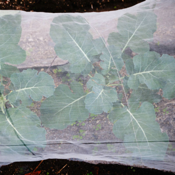 Custom-Anti-Insect-bee-Net-Protection