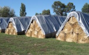 PE Tarpaulin for Stoage Uses