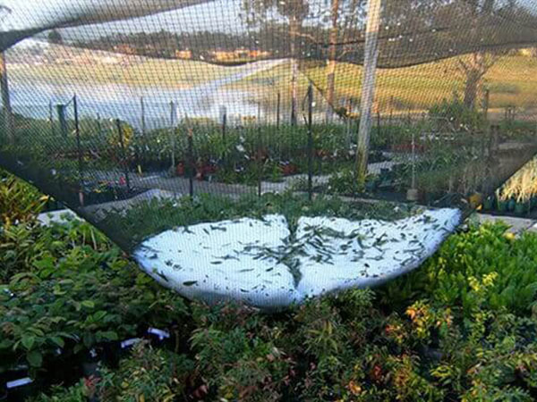 black-anti-hail-net-farm-1