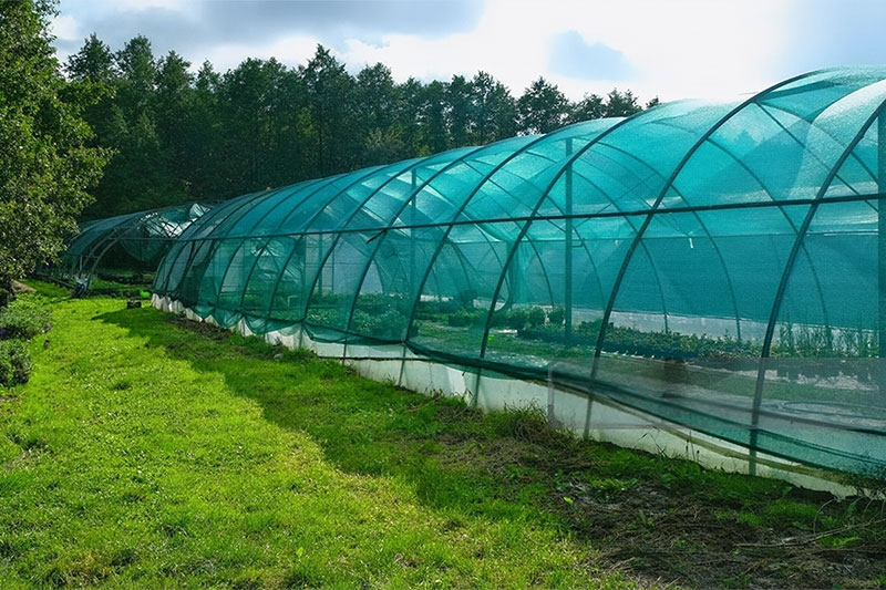 green-shade-net