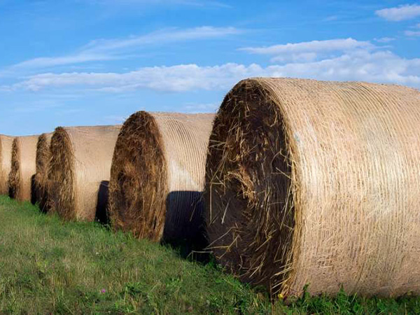silage-bale-netting-storage-1