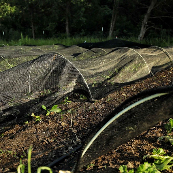 Agricultural-Shade-Net-Crop