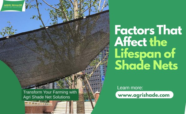 factore-affect-lifespan