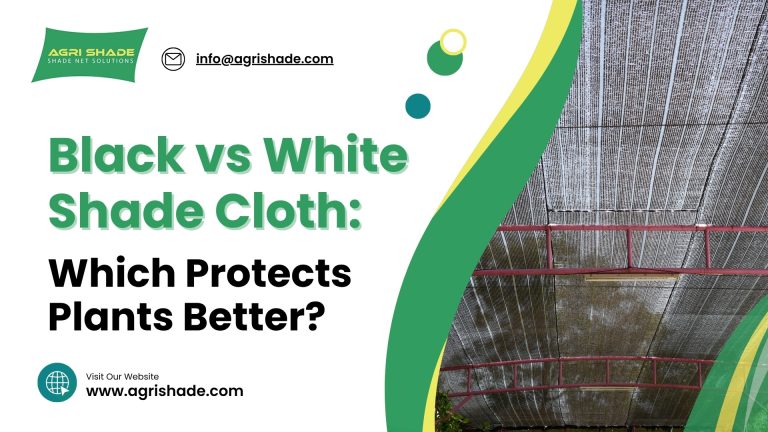 Black vs White Shade Cloth: Which Protects Plants Better?