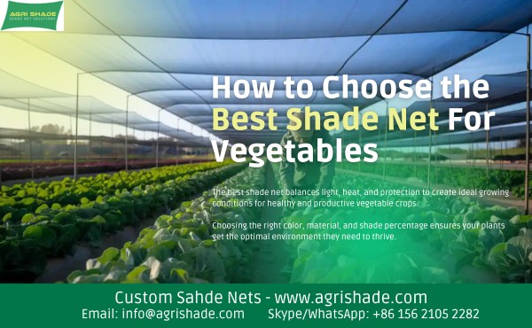 How to Choose the Best Shade Net For Vegetables