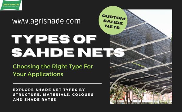 Types of Sahde Nets