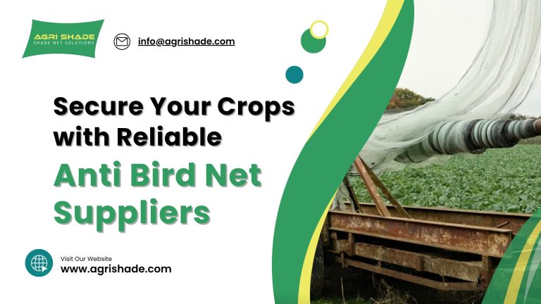 Secure Your Crops with Reliable Anti Bird Net Suppliers