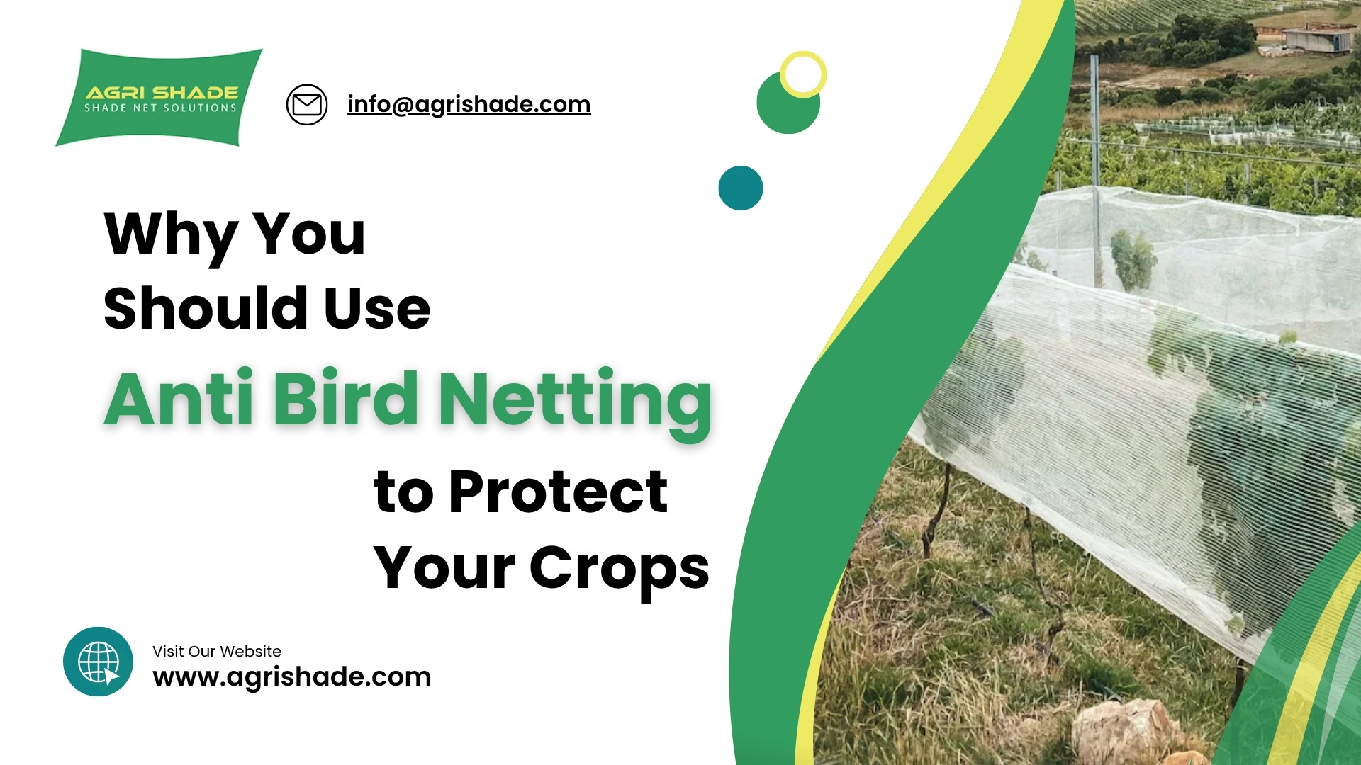 Why You Should Use Anti Bird Netting to Protect Your Crops