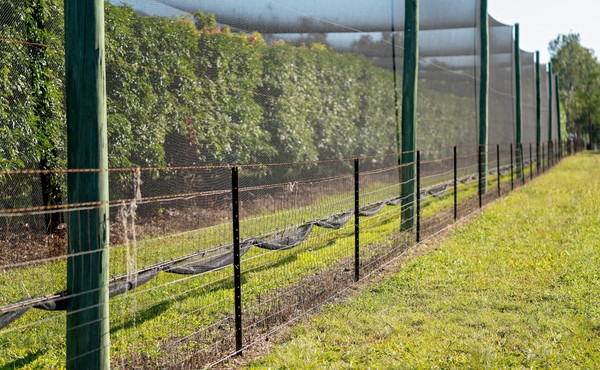 agricultural privacy screen netting