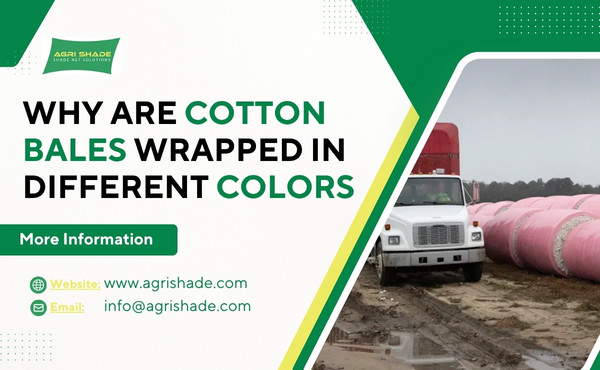 Why Are Cotton Bales Wrapped In Different Colors