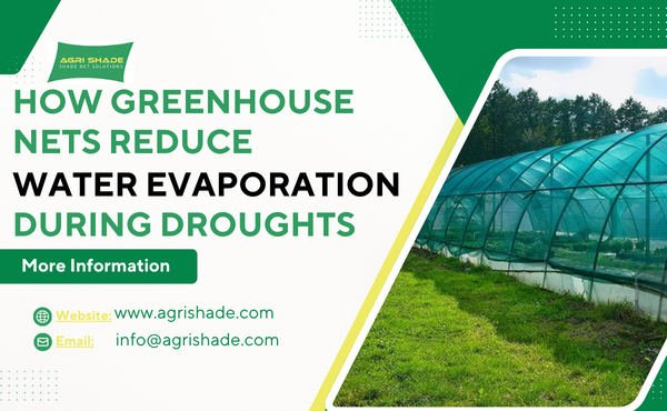 How Greenhouse Nets Reduce Water Evaporation During Droughts