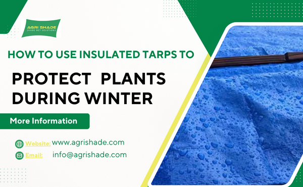How to Use Insulated Tarps to Protect Plants During Winter
