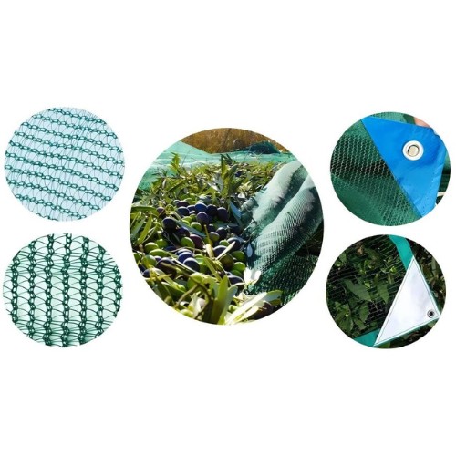 commercial olive harvesting solution