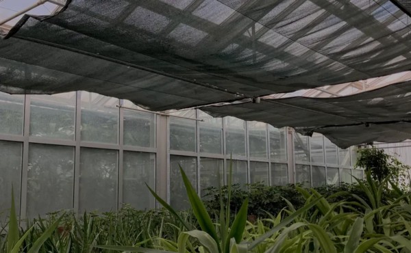 black shade cloth