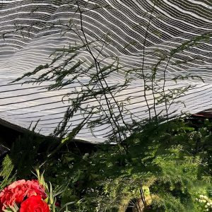 greenhouse netting export packing container load