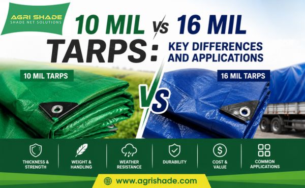 10 Mil vs 16 Mil Tarps Key Differences and Applications
