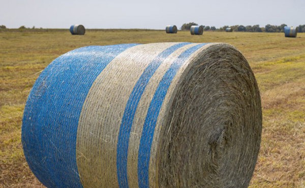 Efficient Net Wrap
