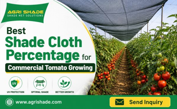 Best Shade Cloth Percentage for Commercial Tomato Growing