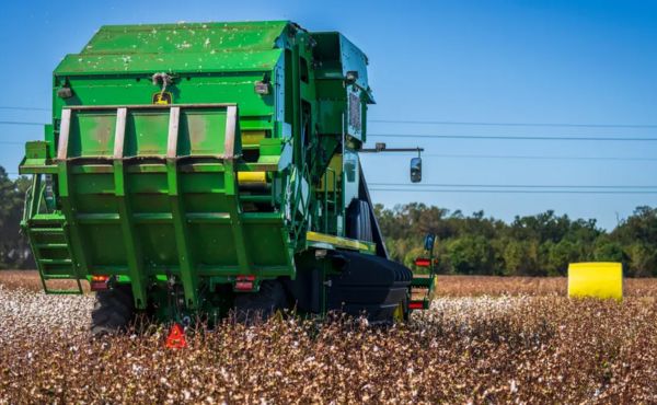 cotton picker